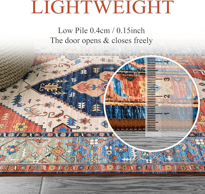 Lahome Boho Machine Washable Rugs - 5x7 Area Rugs for Living Room Non-Slip Oriental Throw Bedroom Rug Ultra-Thin Large Office Dining Room Rug Accent Floor Carpet for Kitchen Laundry Room
