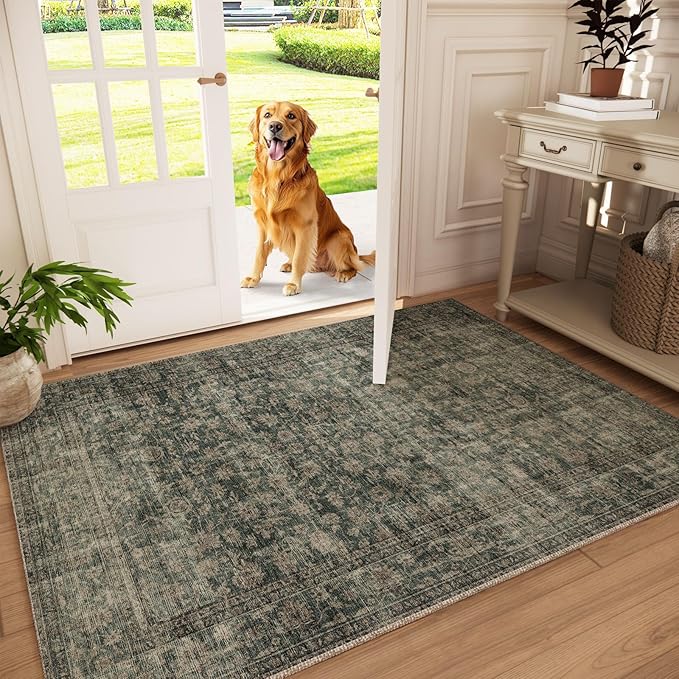 Machine Washable Throw Rugs for Entryway: Door Mat Indoor Entrance 3x5 Rug Boho Small Area Rug Non-Slip Low Pile Kitchen Rug for Front Door Indoor Entrance Entry Kids Room