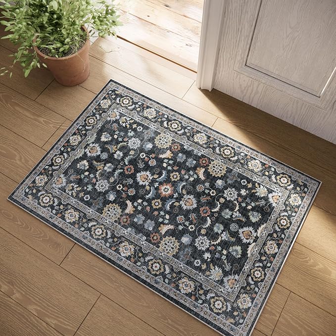 Washable Small Area Rugs for Kitchen: Door Mat Indoor Entrance 2x3 Throw Rug Stain Resistant Non-Slip Low Pile Soft Carpets for Entryway Front Door Indoor Entrance Entry Bedroom