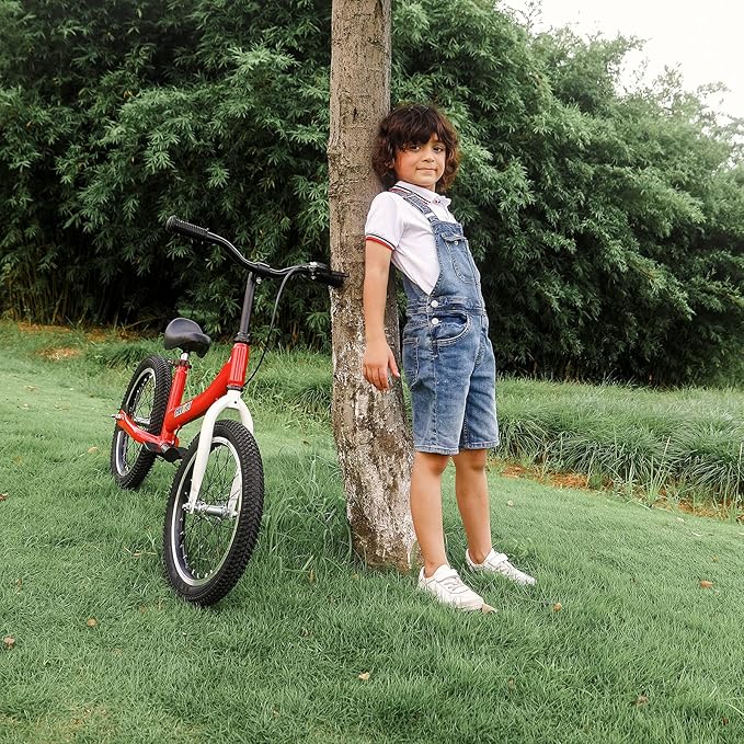 Balance Bike 2 in 1,The Dual Use of a Kids Balance Bike and Toddler Bike, for 2 3 4 5 6 7 Years Old -12 14 16 Inches with Training Theory, Brake, Pedal
